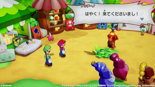 船島に来たボルドーたち