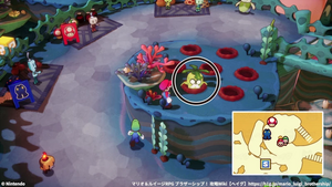 クラゲ島のカブじいの居場所