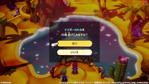 ナエボーのたねの用途：オアシスの最後の要求