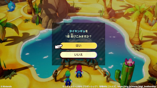 オアシスの要求3つめ：タイキンギョ