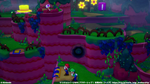 キノピオと遭遇