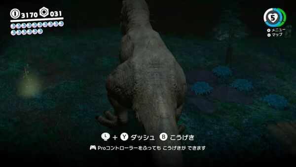 樹海の せせらぎ