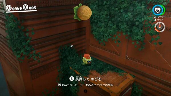 突き当たりの木の実