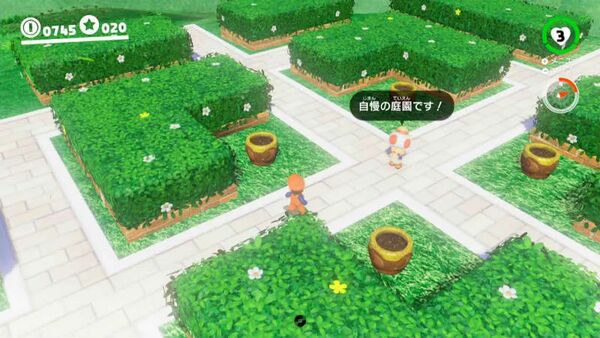 咲いた！ 庭園の種