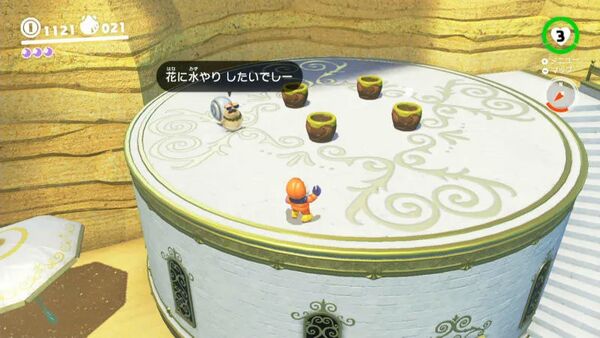 咲いた！ 峡谷裏の種