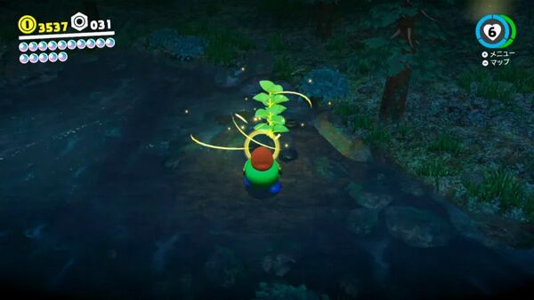 コインで育った お宝の実