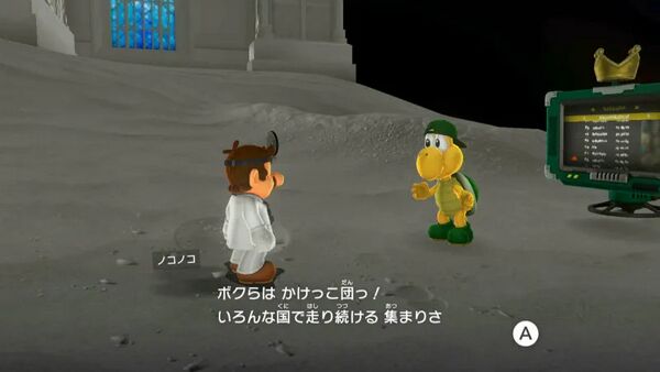 月の国 レギュラーカップ