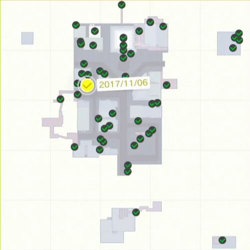 咲いた！ 小さな屋上の鉢植え