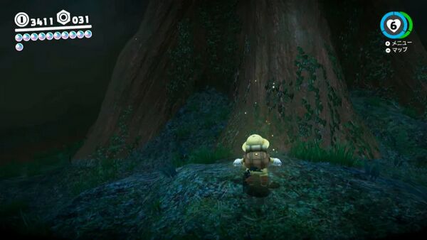 樹海の かたい岩