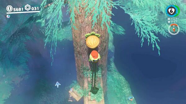 のっぽな木の上に