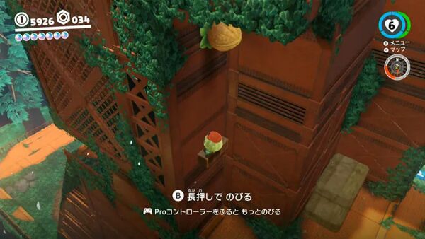 見はらし台に ついた木の実