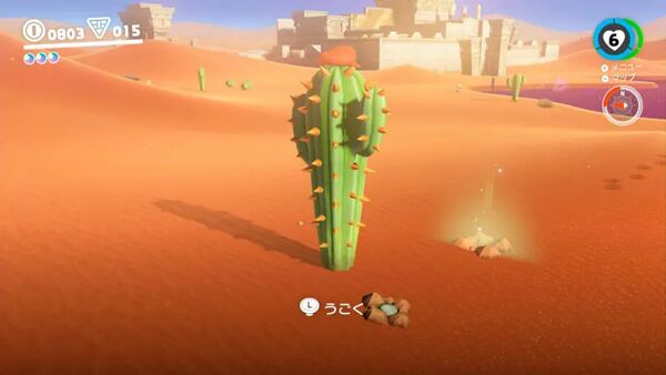 サボテンだって歩きたい！