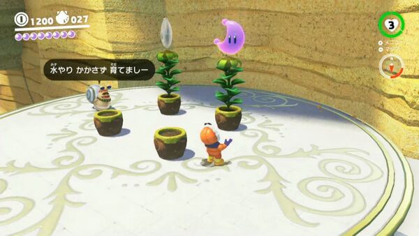 咲いた！ 峡谷裏の種