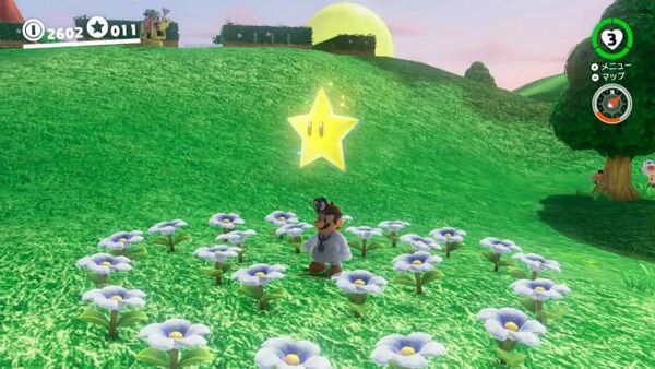 咲かせて 裏庭の花