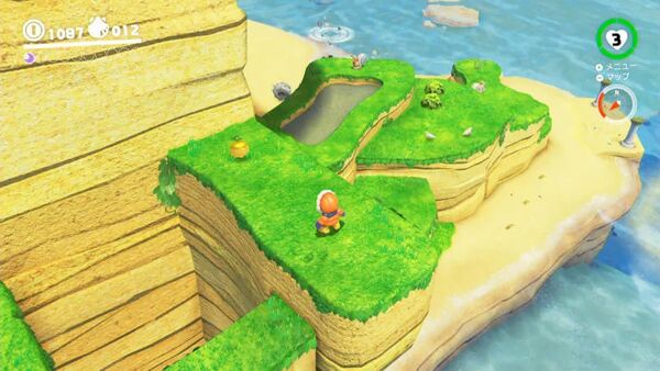 咲いた！ 峡谷裏の種