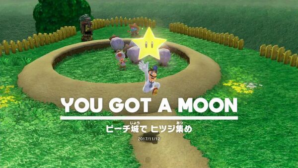 ピーチ城で ヒツジ集め