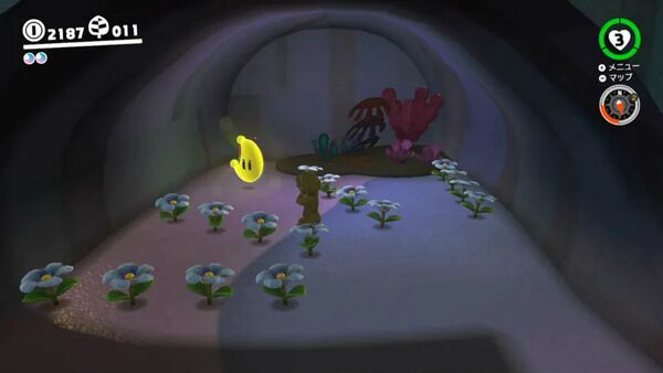 咲かせて 洞くつの花