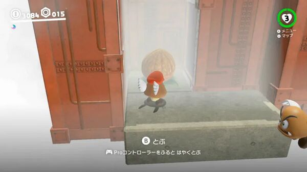 霧の中に かくれた木の実