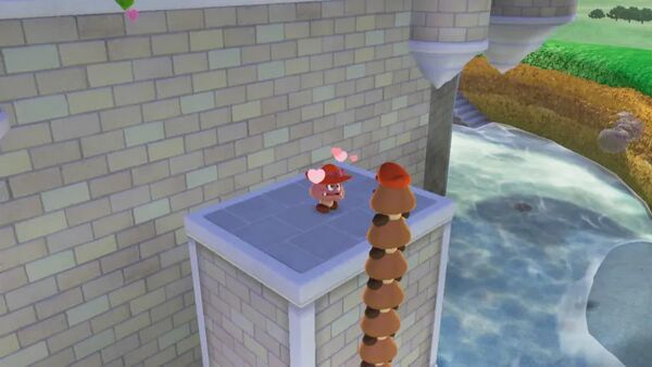 ピーチ城のガールフレンド