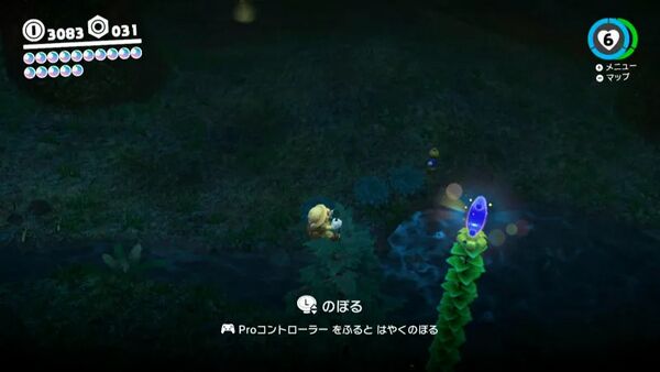 コインで育った お宝の実