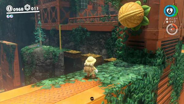 高い塀に ついた木の実