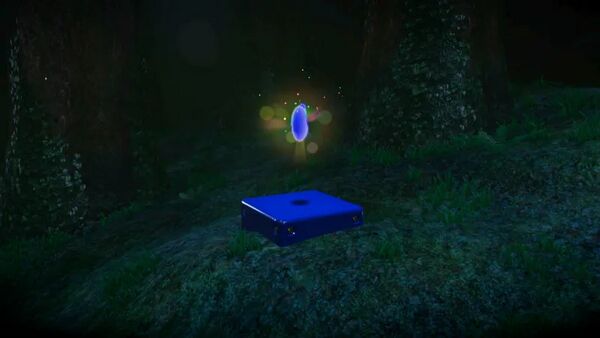 つかの間に光る 樹海の奥