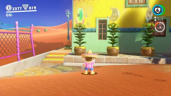 咲いた！ ガケ下の種