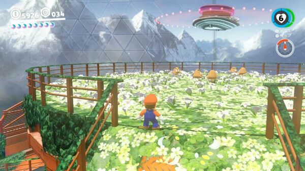 空中庭園のやっかい者