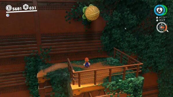 曲がり角の木の実