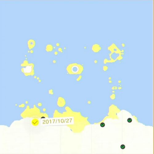 咲いた！ 峡谷裏の種