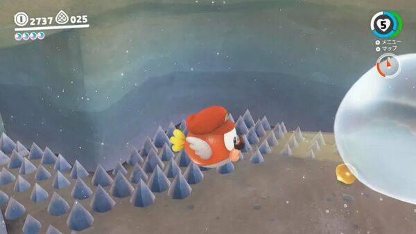 咲いた！ トゲトゲ水路の種