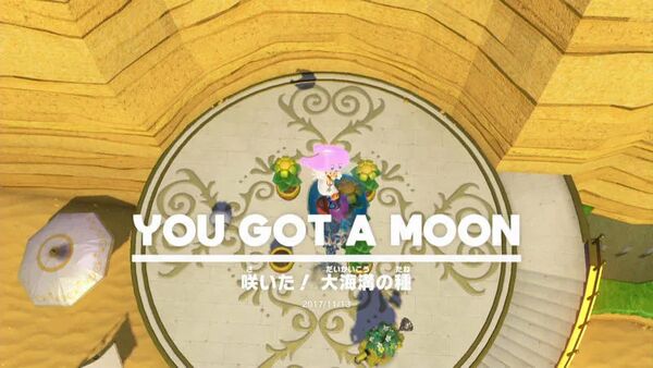 咲いた！ 大海溝の種