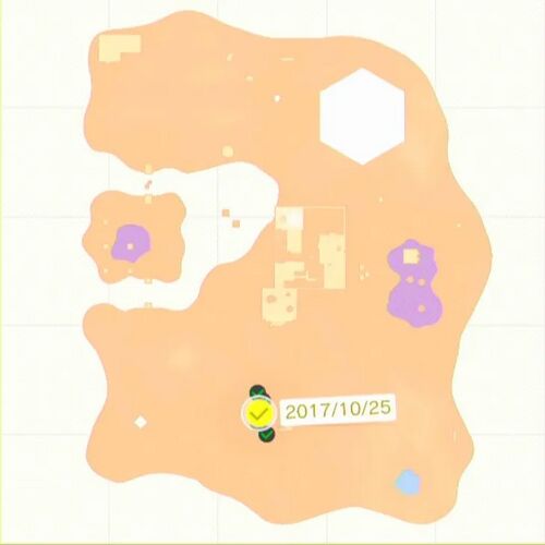 咲いた！ 広場の種