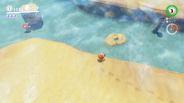 咲いた！ 入り江の種