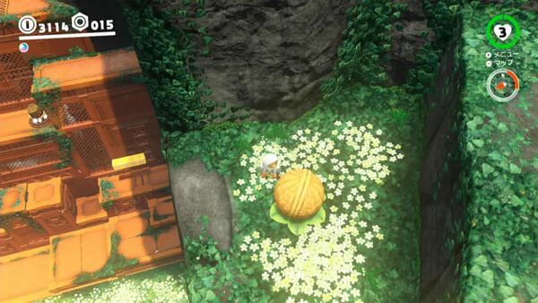 岩壁を登れば木の実