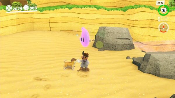 ビーチで 見つけたワン！