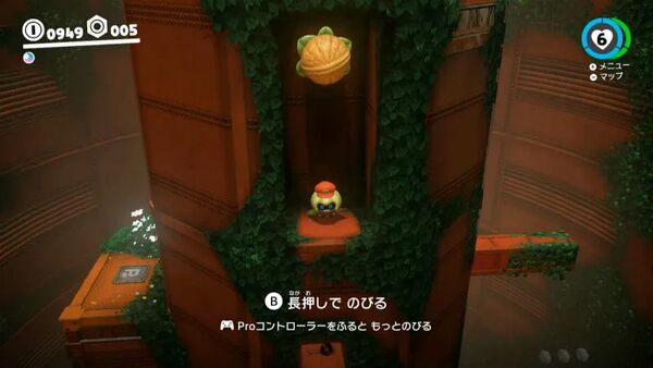 くぼみに ついた木の実