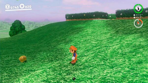 咲いた！ 庭園の種