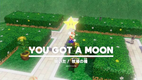 咲いた！ 牧場の種