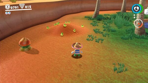 小鳥たちの会議