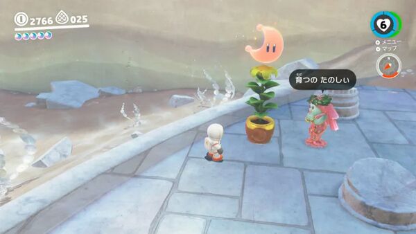 咲いた！ トゲトゲ水路の種