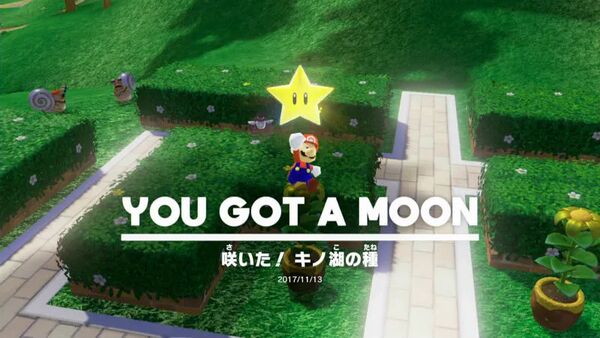 咲いた！ キノ湖の種