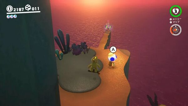 チョウチョの宝