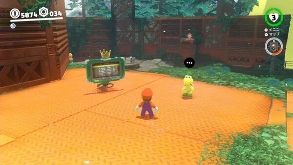 森の国で レギュラーカップ