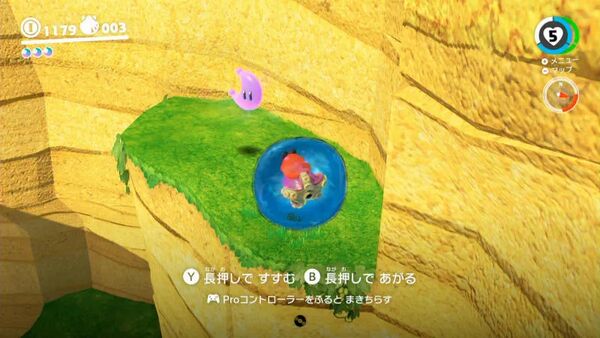 浜辺を臨む ガケの上