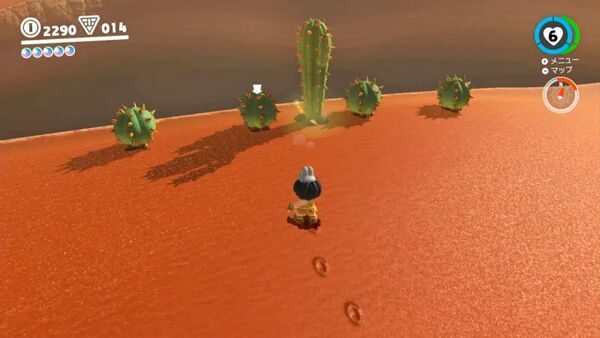 サボテン5本の真ん中に