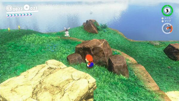 滝で つかまえたピョン！