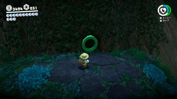 樹海にひそむ 宝箱のワナ