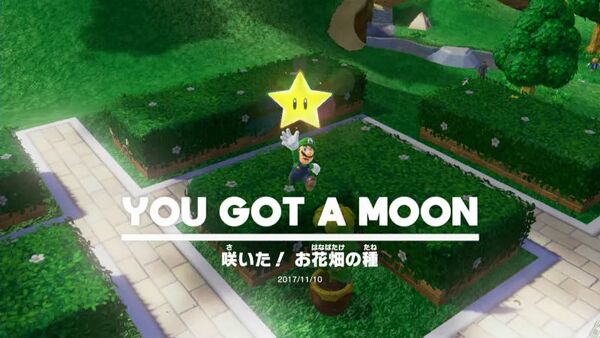 咲いた！ お花畑の種