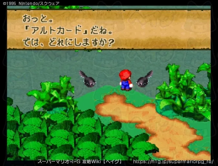 メロディ・ベイの画像